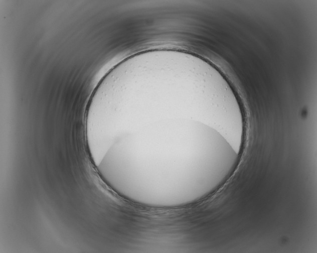 X0000116161242201001041107
