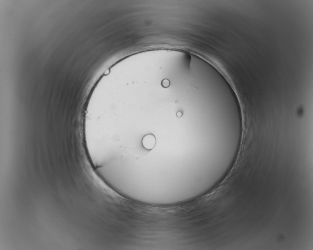 X0000116161243201001041107