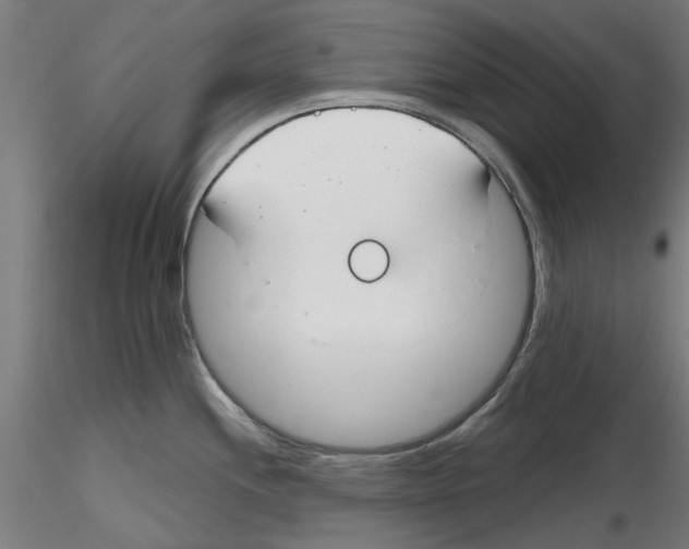 X0000116161244201001041107