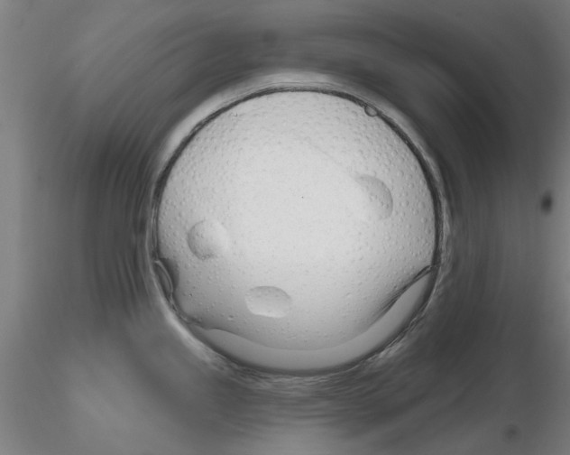 X0000116161245201001041107