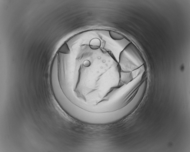 X0000116161246201001041107
