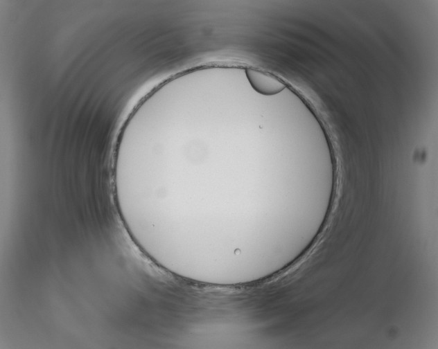X0000116161248201001041108