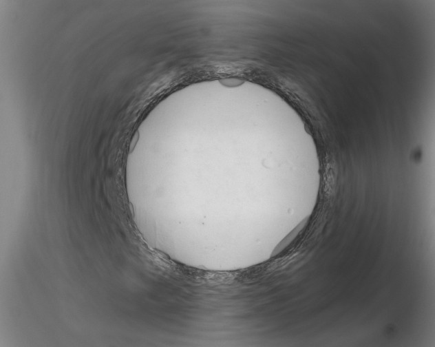 X0000116161249201001041107