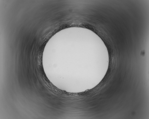 X0000116161250201001041107