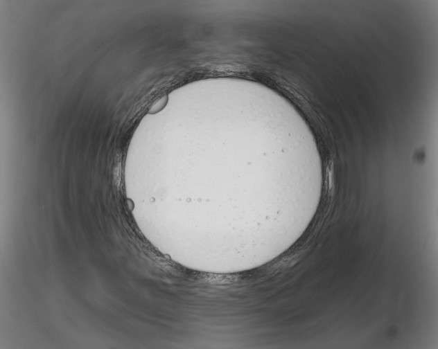 X0000116161251201001041107