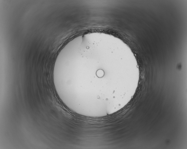 X0000116161252201001041107