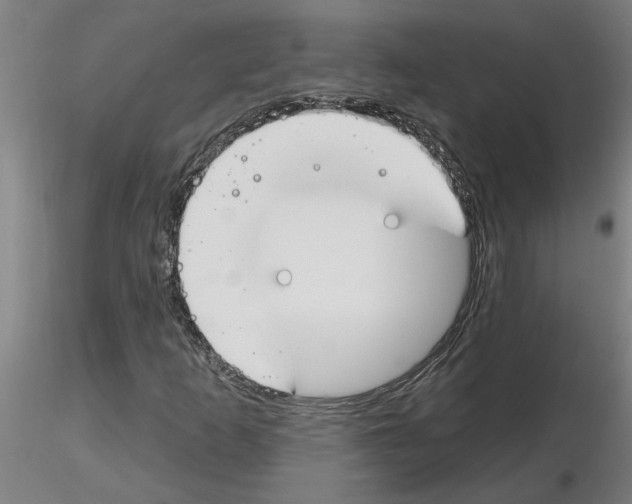 X0000116161253201001041107