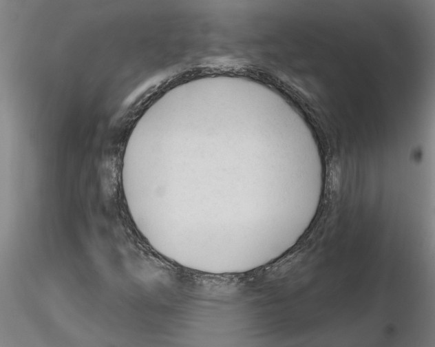 X0000116161254201001041107