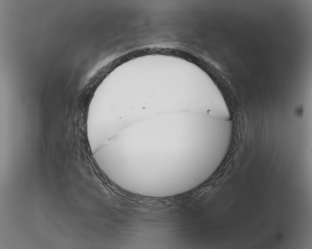 X0000116161255201001041107