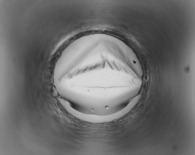 X0000116161256201001041107