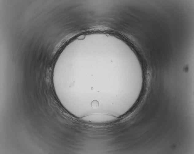 X0000116161257201001041107
