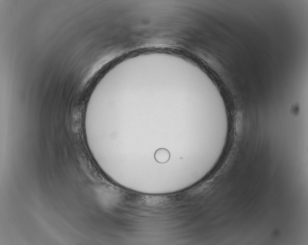 X0000116161258201001041107