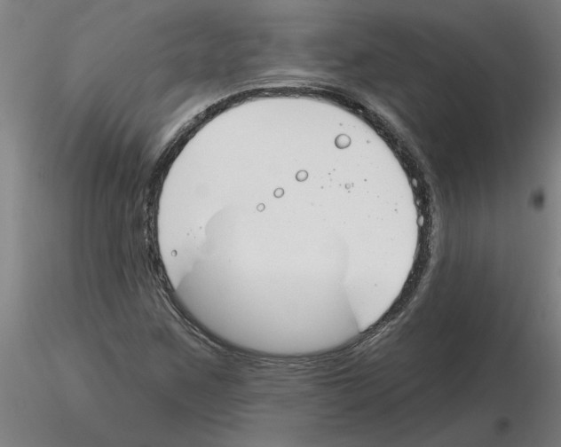 X0000116161259201001041107