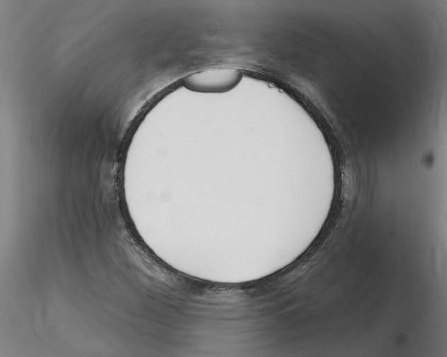 X0000116161260201001041107