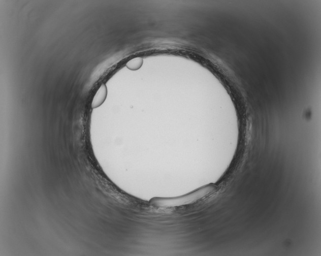 X0000116161261201001041107