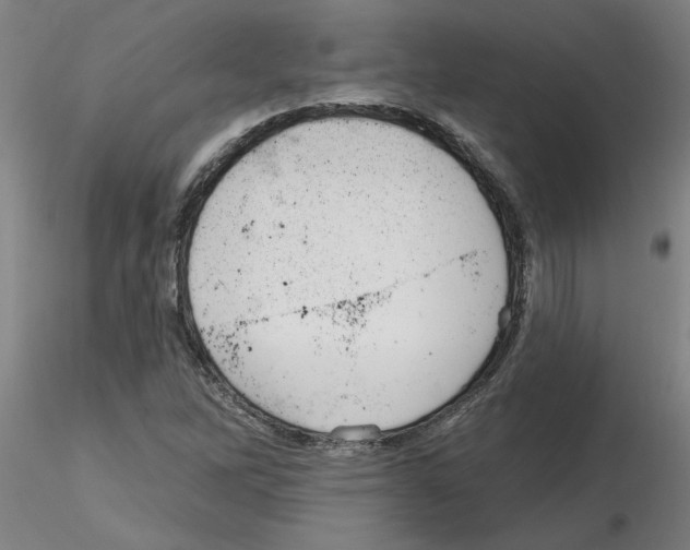 X0000116161262201001041107