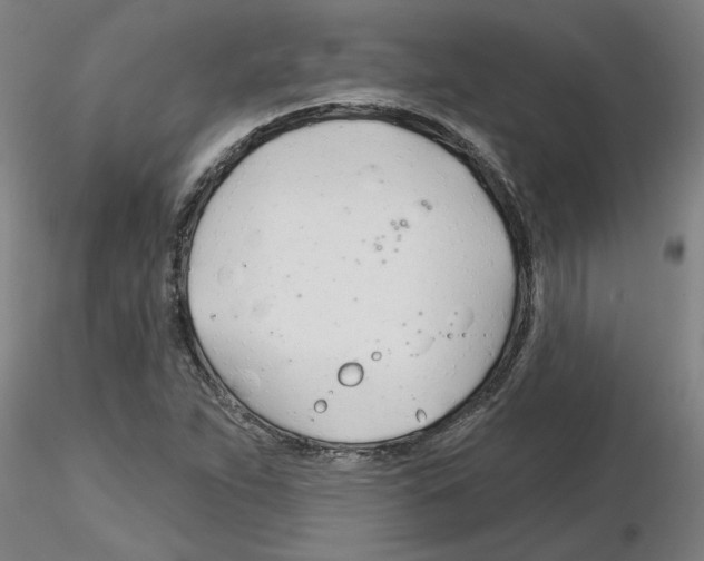 X0000116161263201001041107