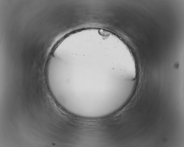 X0000116161264201001041107