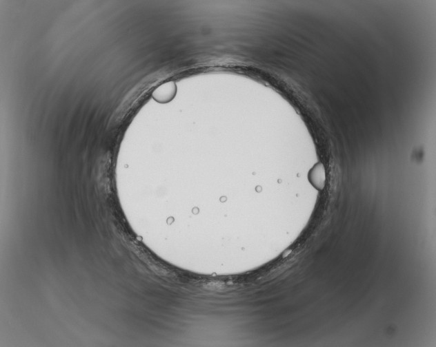 X0000116161265201001041107