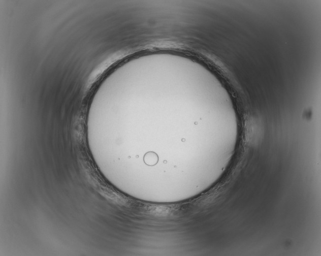 X0000116161266201001041107