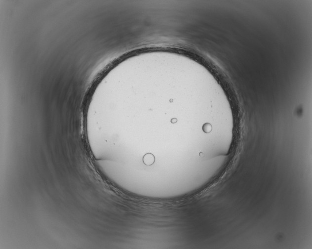X0000116161267201001041107