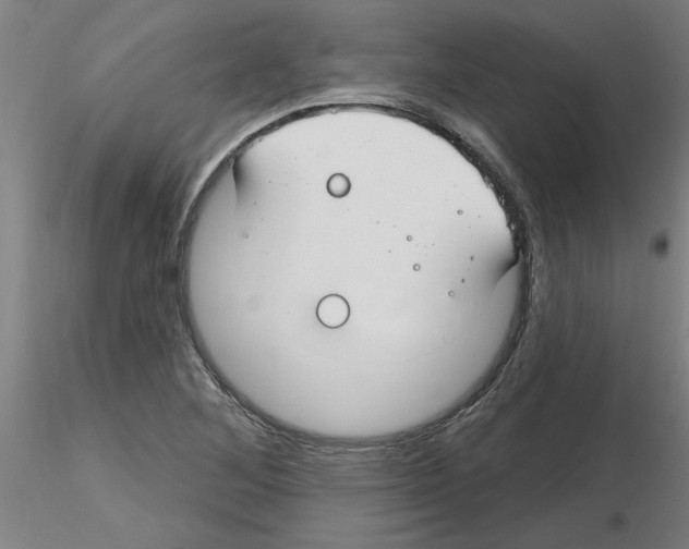 X0000116161268201001041107