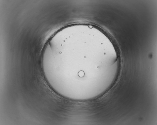 X0000116161269201001041107