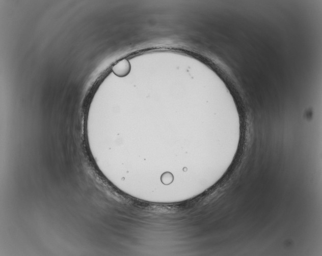 X0000116161270201001041107