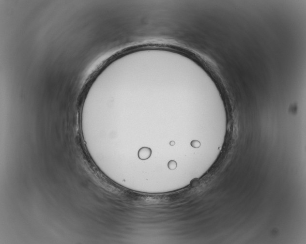X0000116161271201001041107