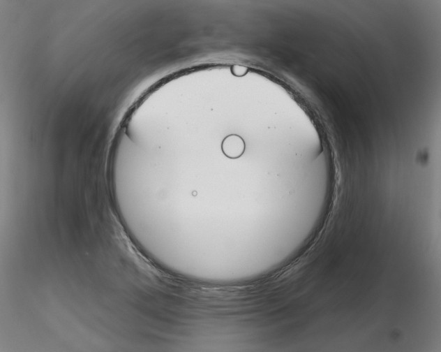 X0000116161272201001041107