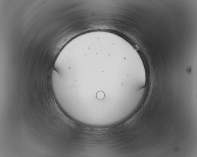 X0000116161273201001041107