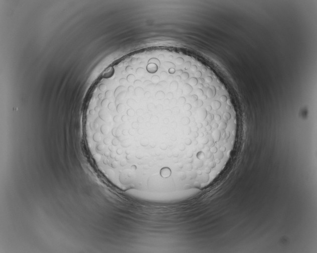 X0000116161274201001041107