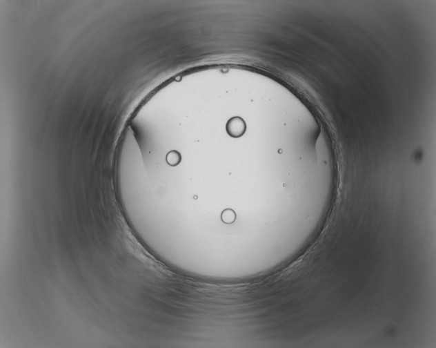 X0000116161276201001041107