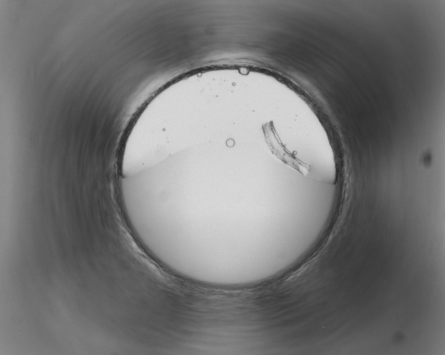 X0000116161277201001041106
