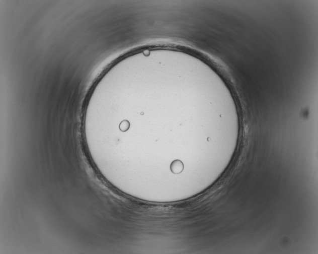 X0000116161279201001041106