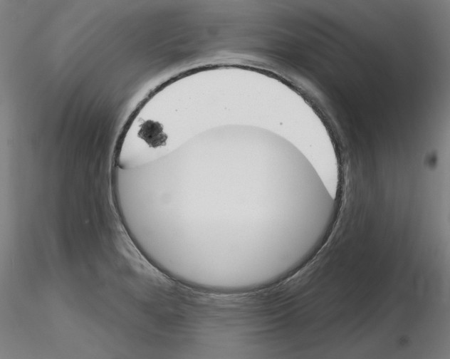 X0000116161280201001041106