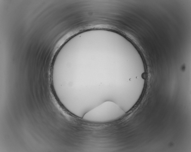 X0000116161282201001041106