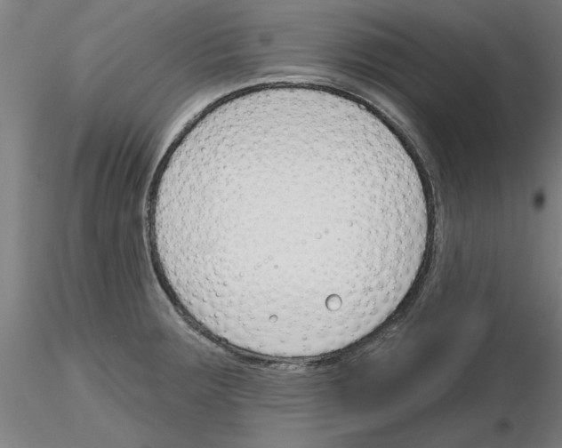 X0000116161283201001041106