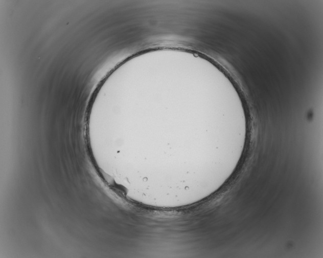 X0000116161285201001041106