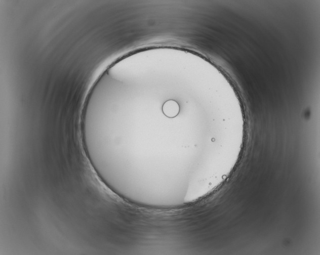 X0000116161288201001041106