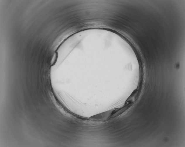 X0000116161289201001041106