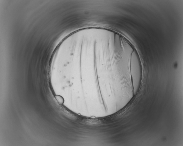 X0000116161291201001041106