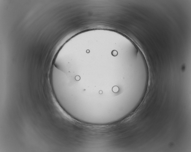 X0000116161293201001041106