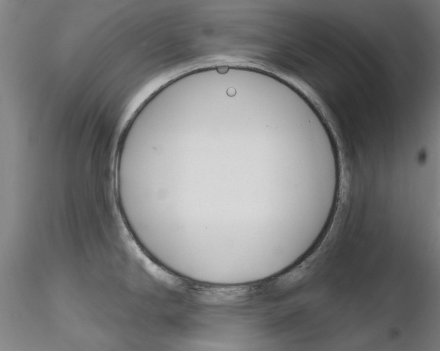 X0000116161294201001041106