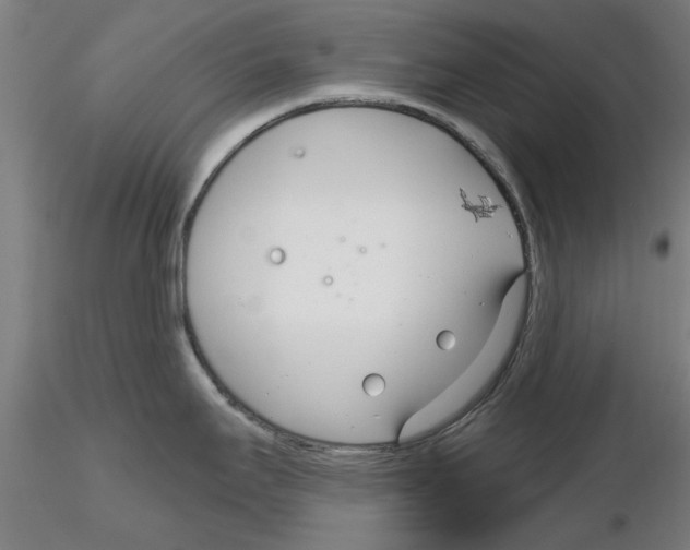 X0000116161295201001041106