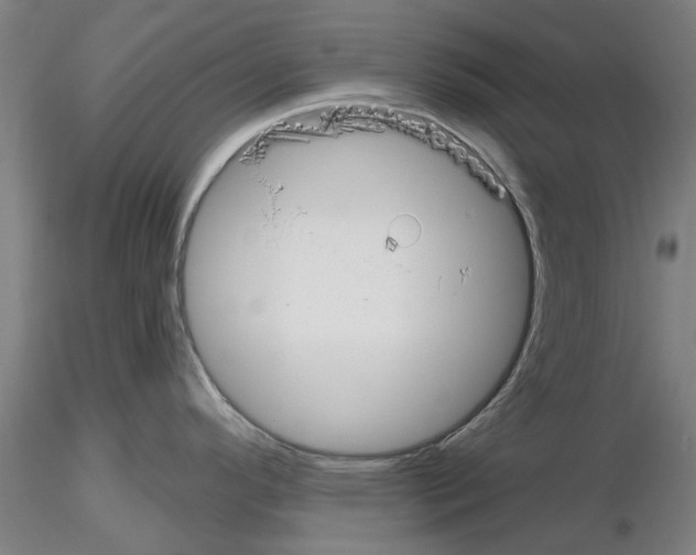 X0000116161296201001041106