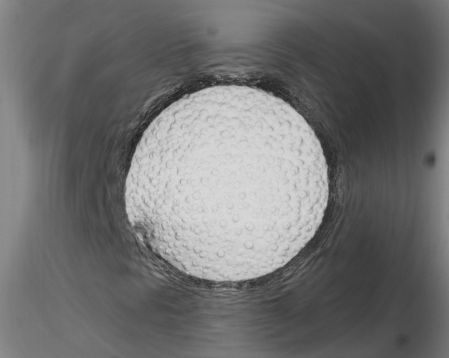 X0000116161297201001041106