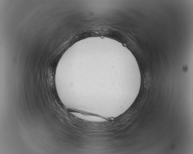 X0000116161298201001041106