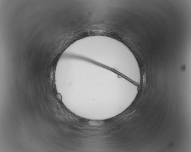 X0000116161299201001041106