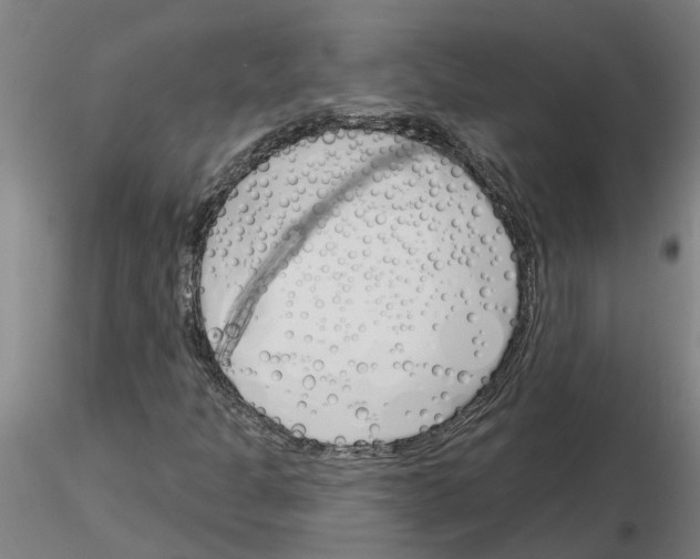 X0000116161301201001041106
